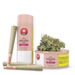 CBD Runtz Pre-roll Joint