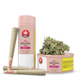 CBD Runtz Pre-roll Joint