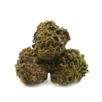 UK Cheese Weed Strain