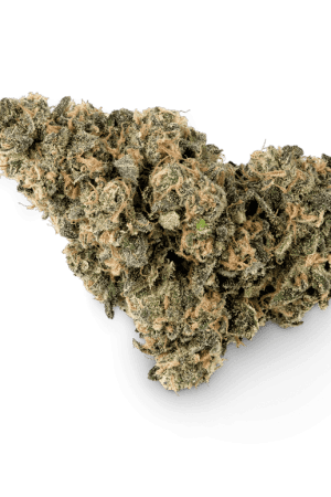 Papaya Sorbet Marijuana Strain
