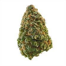 Green Crack Weed Strain