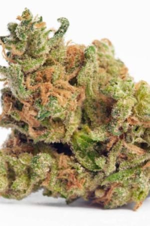 Blue Walker Cannabis Strain