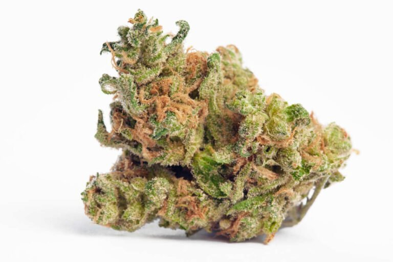 Blue Walker Cannabis Strain
