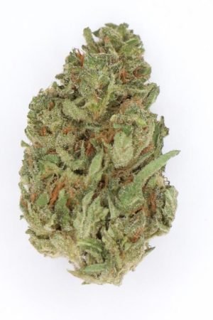 Green Gelato Cannabis Strain