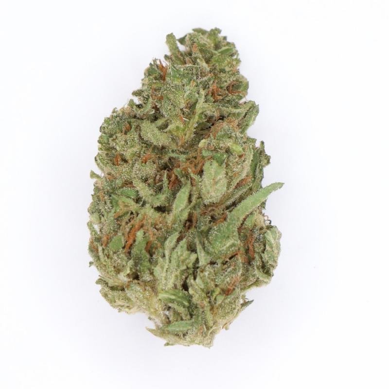 Green Gelato Cannabis Strain