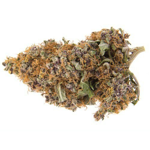 Purple Haze Weed Strain