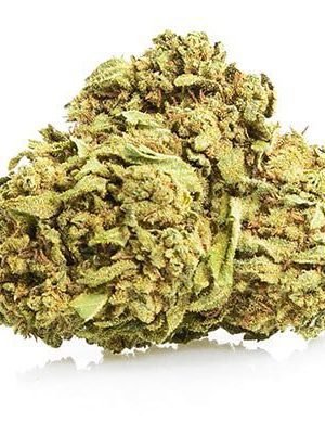 White Widow Marijuana Strain