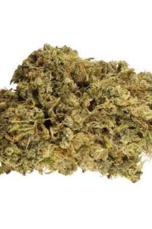 Durban Poison Weed Strain