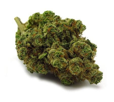 Chiquita Banana Weed Strain