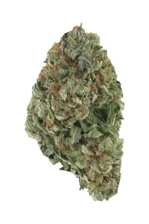 Ice Wreck Marijuana Strain