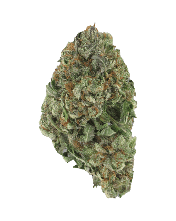 Ice Wreck Marijuana Strain