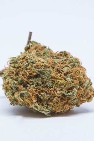 Sour Dawg Marijuana Strain