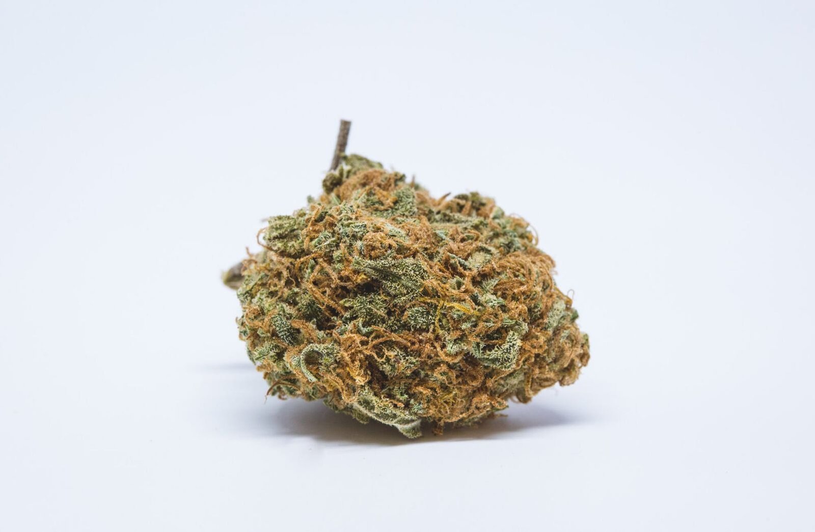 Sour Dawg Marijuana Strain
