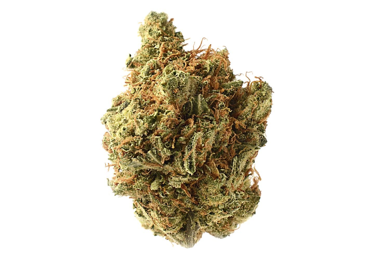 Amnesia Haze Marijuana Strain