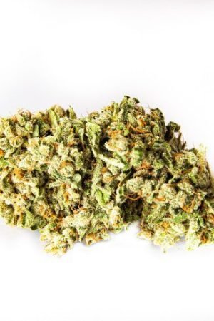 Ghost Train Haze Cannabis Strain
