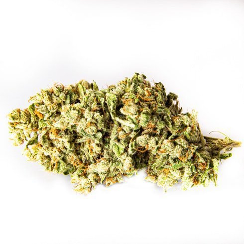 Ghost Train Haze Cannabis Strain