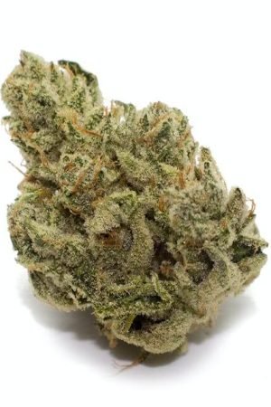 Gorilla Glue Cannabis Strain