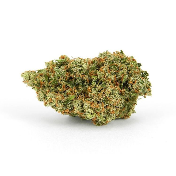 Jack Herer Marijuana Strain