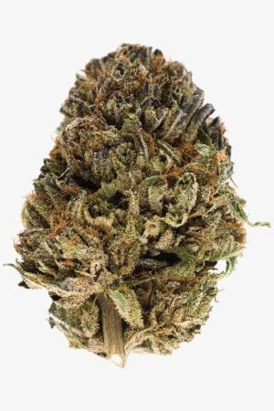 OG Kush Weed Strain