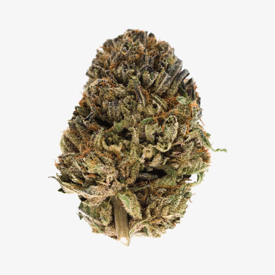 OG Kush Weed Strain