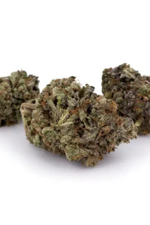 White Fire OG Cannabis Strain