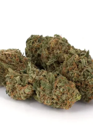 Love Potion Weed Strain