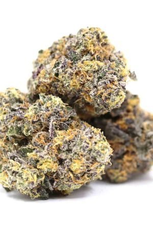 Purple Zkittlez Weed Strain