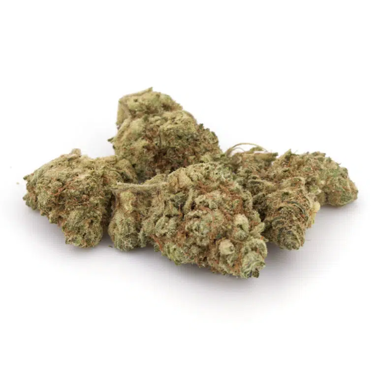 Violator Kush Cannabis Strain