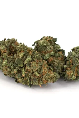M-39 Marijuana Strain