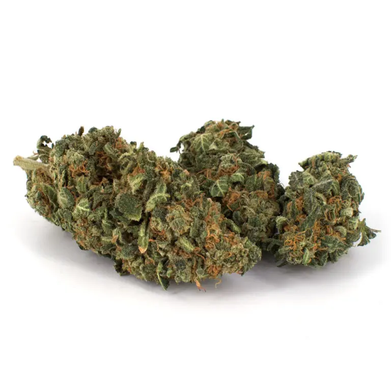 M-39 Marijuana Strain