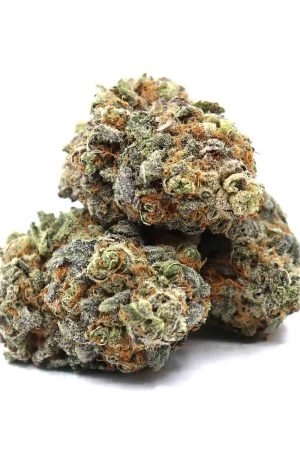 Purple Gelato Weed Strain