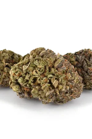 Purple Urkle Marijuana Strain