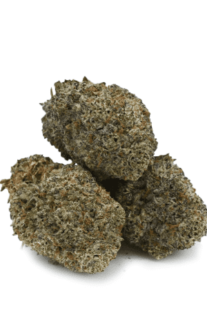 Black Mamba Weed Strain