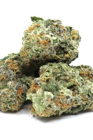 Wonka Bars Marijuana Strain