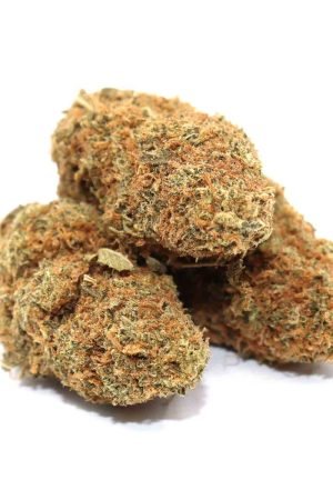 Chocolope Marijuana Strain