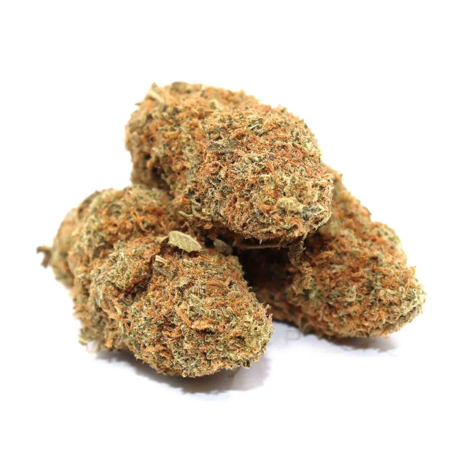 Chocolope Marijuana Strain