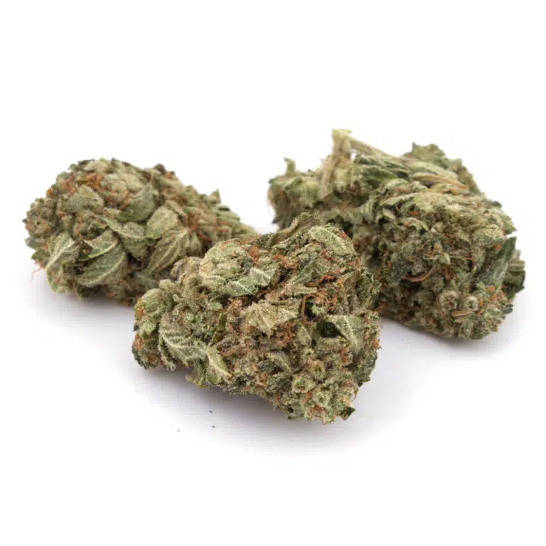 MK Ultra Marijuana Strain