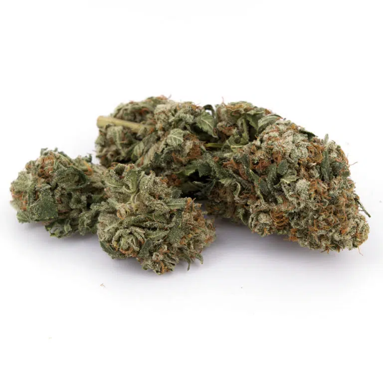 Master Kush Cannabis Strain