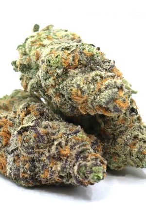 Mango Crush Weed Strain