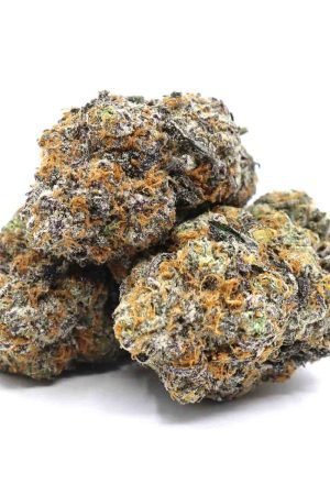 Purple Chemdawg Marijuana