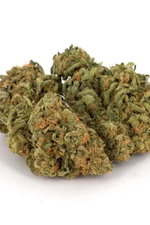 Zombie OG Cannabis Strain