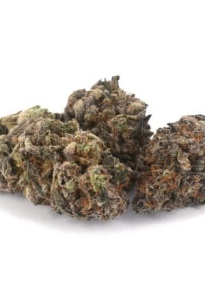 Thin Mint Marijuana Strain
