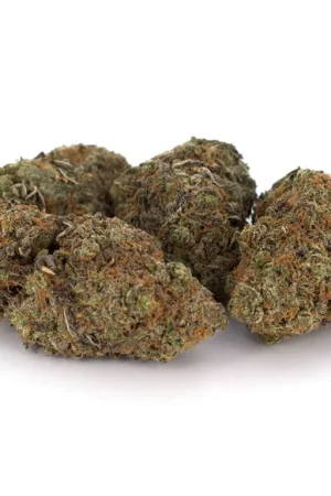 Chocolate Kush Weed Strain