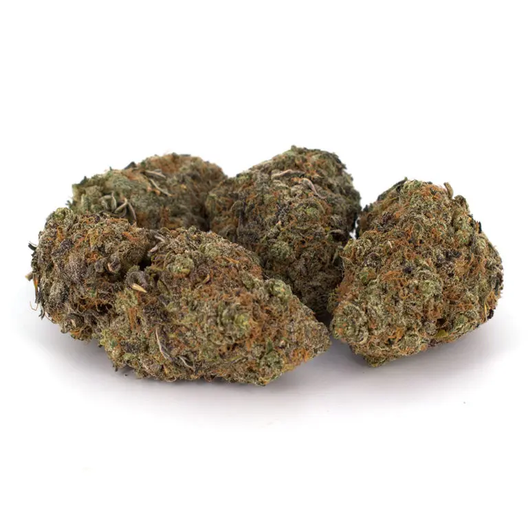 Chocolate Kush Weed Strain