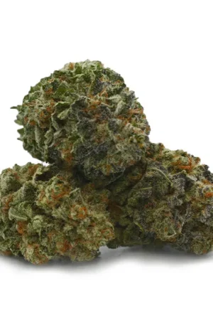 G13 Marijuana Strain