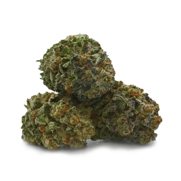 G13 Marijuana Strain
