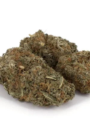 Romulan Marijuana Strain