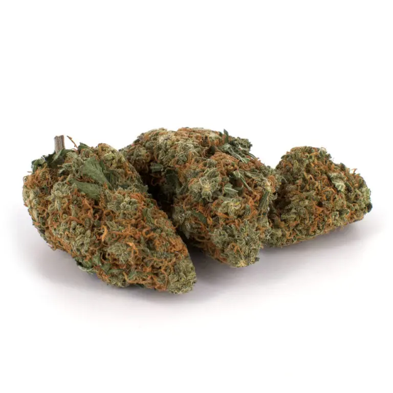 Northern Lights Weed Strain