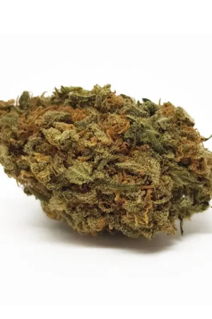 Lemon Sour Diesel Cannabis