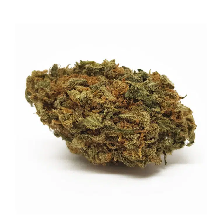 Lemon Sour Diesel Cannabis